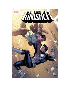 Punisher #5