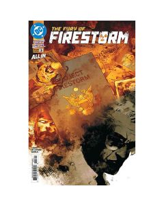 Fury Of Firestorm #3