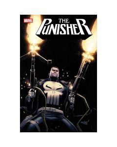Punisher #1