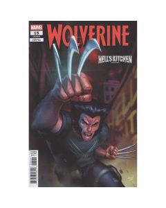 Wolverine #15 Ario Anindito Punisher Variant