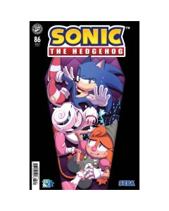 Sonic The Hedgehog #86 Cover B Waschk