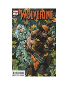Wolverine #17