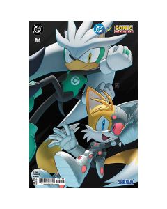 DC X Sonic The Hedgehog #2 Second Printing Deegeemin Connecting