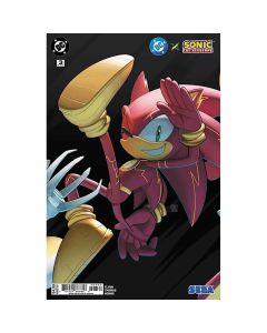 DC X Sonic The Hedgehog #3 Second Printing Deegeemin Connecting