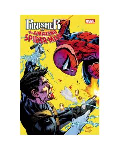 Punisher Vs Spider-Man #2