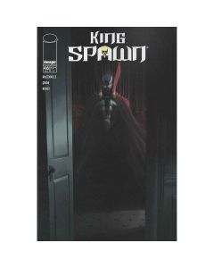 King Spawn #46