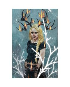 Odin #1 Cover G Sebastian Fiumara Variant