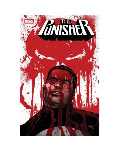 Punisher #6