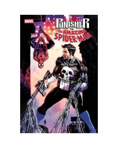 Punisher Vs Spider-Man #1