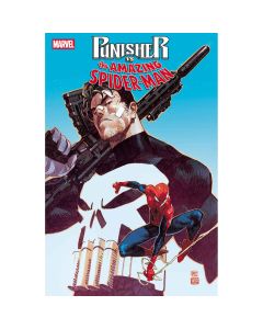 Punisher Vs Spider-Man #1 Dike Ruan Variant