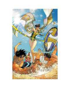 DCs Hawk-Girl Summer #1