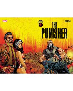 Marvel Knights Punisher #3