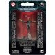 Warhammer 40,000 Imperial Agents: Callidus Assassin