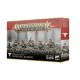Warhammer Age of Sigmar Helsmiths of Hashut: Infernal Razers