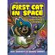 First Cat In Space And The Baby Pirates Revenge