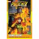 Phoenix Vol 2 Cosmic Ascent