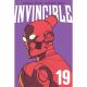 Invincible Vol 19 New Edition