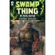 Swamp Thing By Rick Veitch Book 3 Time Upon A Once