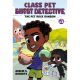 Pet Rock Ransom A Graphic Novel