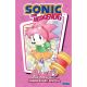 Sonic The Hedgehog Amys Anniversary Special