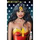 Wonder Woman #800 Cover B Brian Bolland Card Stock Variant