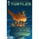 Teenage Mutant Ninja Turtles #19 Cover C Wachter