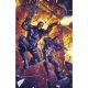 Marvel Knights Punisher #1 1:50 Ben Harvey Virgin Variant