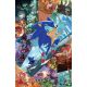 Sonic The Hedgehog #91 Cover G 1:25 Hammerstrom Full Art