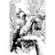 Fire And Ice Darkwolf #4 Cover O 1:10 Dan Panosian Line Art Virgin Variant