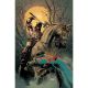 Fire And Ice Darkwolf #4 Cover Q 1:15 Dan Panosian Virgin Variant