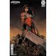 Absolute Wonder Woman Annual 2026 #1 Cover D Denys Cowan Card Stock Variant