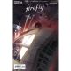 Firefly #28