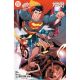 Batman Superman Worlds Finest #49 Cover C Karl Kerschl Card Stock Variant
