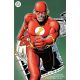 Flash #31 Cover F Brian Bolland Foil Variant