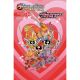 Thundercats Powerpuff Girls #4 Cover B Coleman Engle