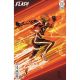 Absolute Flash #19 Cover B Denys Cowan Card Stock Variant