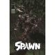 Spawn #379 Cover B Kael Ngu Variant