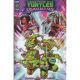 Teenage Mutant Ninja Turtles Splintered Fate #1 Cover B Rodriguez
