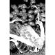 Fall Of The House Of Slaughter #4 Cover D 1:10 Full Art Cha