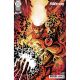 Fury Of Firestorm #5 Cover B Denys Cowan & Jeff Lemire Card Stock Variant