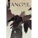 Angel #1 Cover C Meredith Mcclaren Variant
