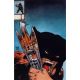 Fire And Ice Darkwolf #2 Cover P 1:10 Robert Hack Virgin Variant