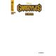 Gargoyles Demona #1 Cover I Blank Authentix