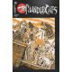 Thundercats #16 Cover G Haeser Teenage Mutant Ninja Turtles Homage
