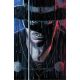 Zorro #1 Cover F 1:15 Ferreyra Full Art