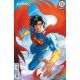 Absolute Superman #19 Cover D Haining Card Stock Variant