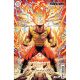 Fury Of Firestorm #1 Second Printing Cover B Diego Olortegui Card Stock Variant
