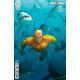 Aquaman #7 Cover D Ozgur Yildirim Card Stock Variant