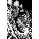 Horror Of Godzilla #1 Cover F 1:50 Jones B&W