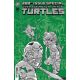 Teenage Mutant Ninja Turtles #20 300Th Issue Special Cover J 1:100 Camuncoli